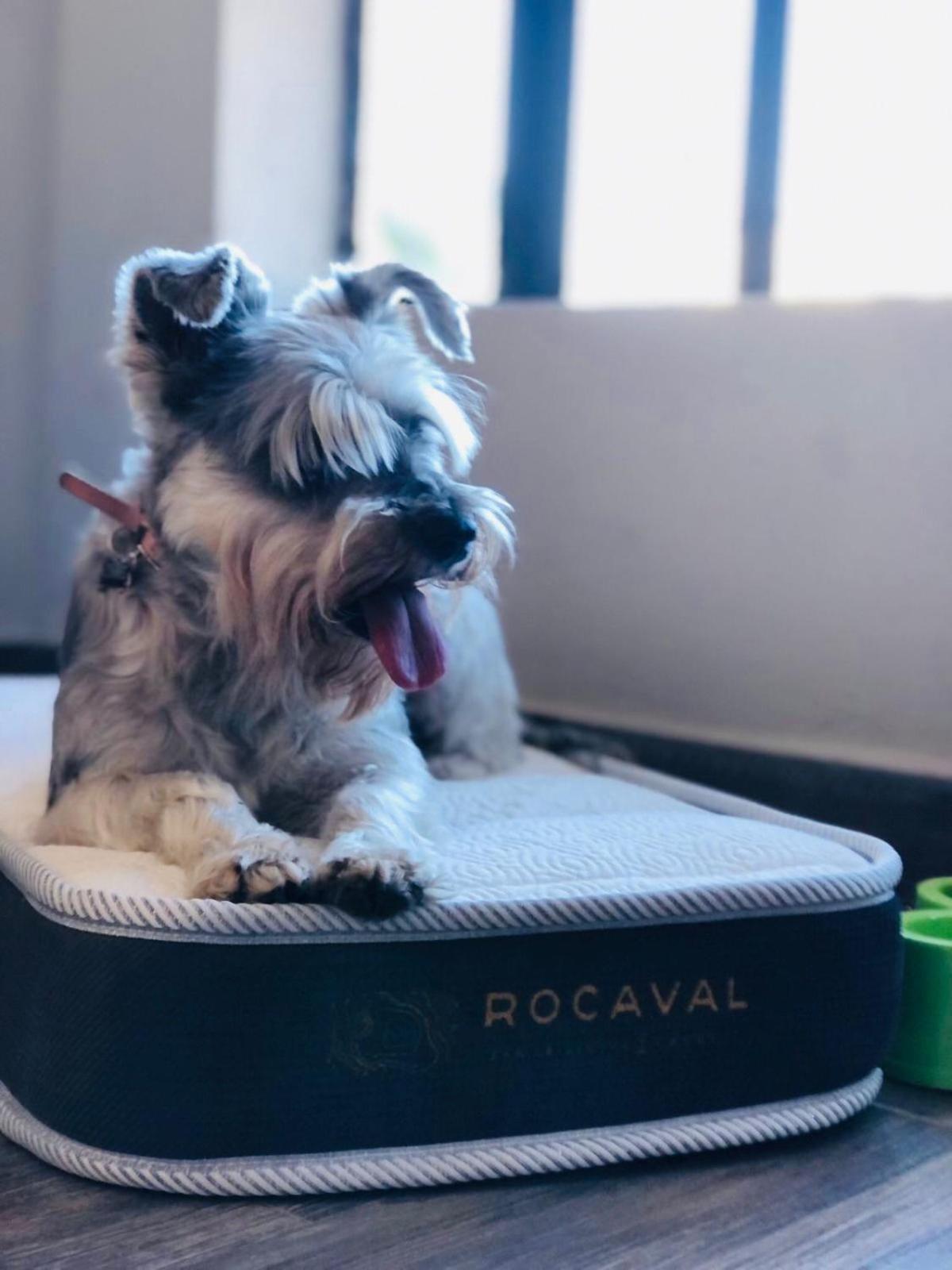 Hotel Rocaval San Cristóbal de Las Casas エクステリア 写真