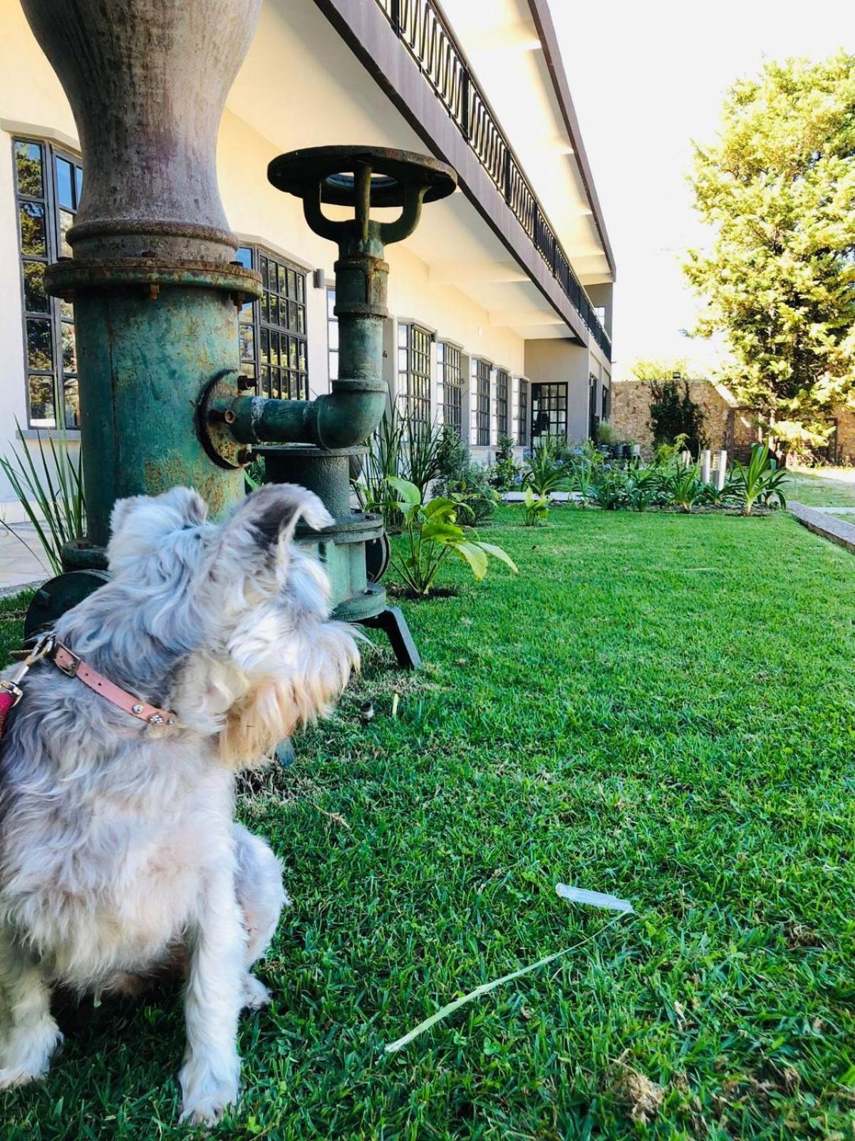 Hotel Rocaval San Cristóbal de Las Casas エクステリア 写真